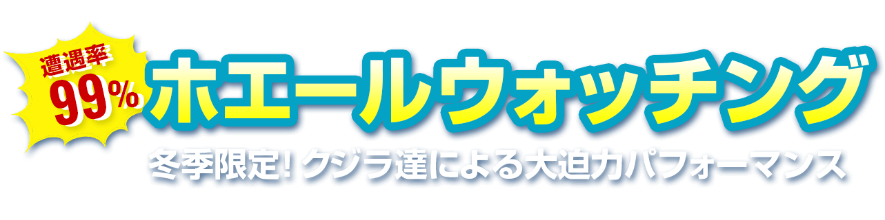 沖縄 水納島でマリンスポーツ ダイビング シュノーケリング パラセ リング ホエールウォッチングなら マリンショップ マーメイド 沖縄 水納島 パラセ リング ホエールウォッチング