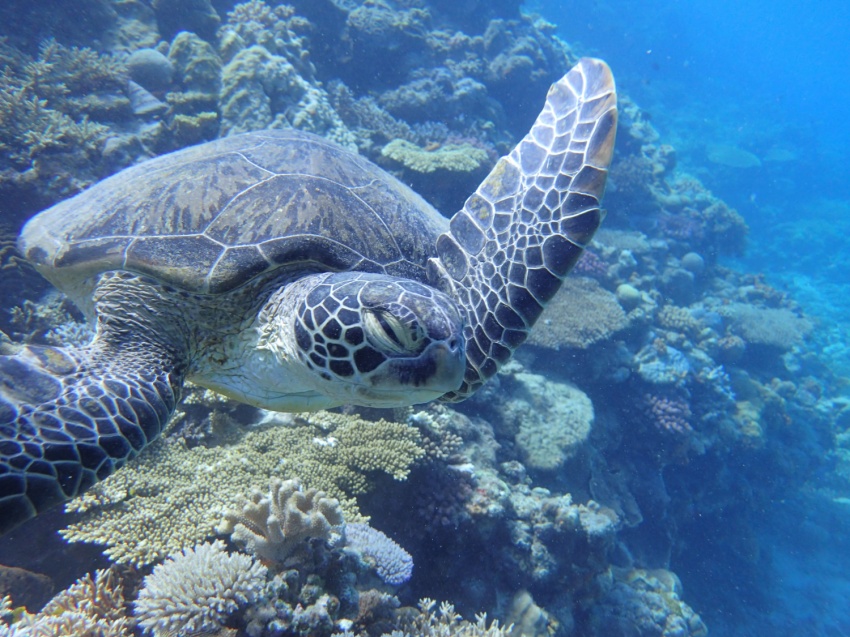 台風の恩恵🐢【沖縄マリンスポーツ専門店★水納島マーメイド】